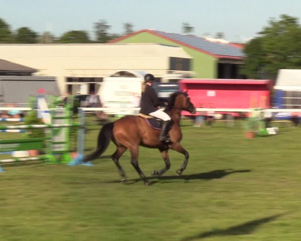 Reitturnier Rendsburg 2022