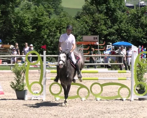 Reitturnier Ruswil 2022