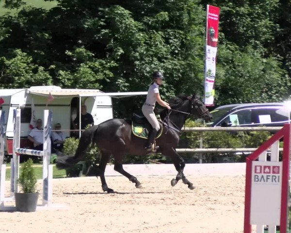 Reitturnier Ruswil 2022