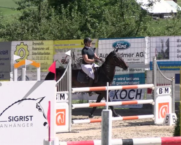 Reitturnier Ruswil 2022