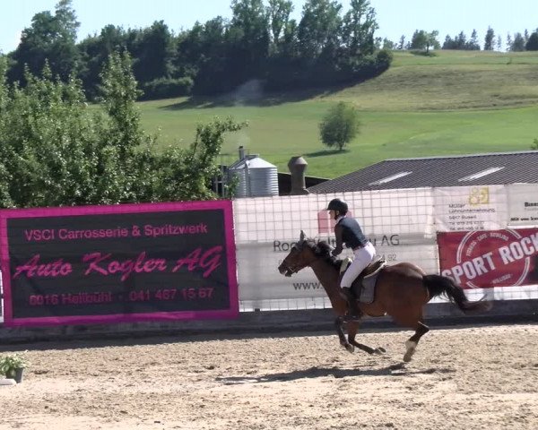 Reitturnier Ruswil 2022