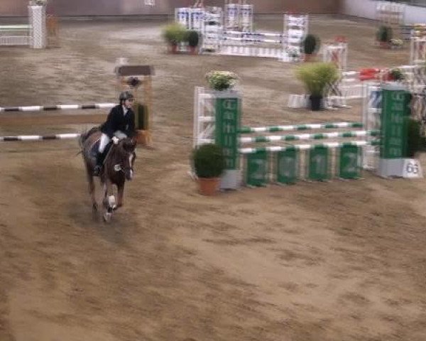 jumper Mon Petit Max (German Riding Pony, 2006, from Maverick)