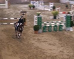 jumper Mon Petit Max (German Riding Pony, 2006, from Maverick)