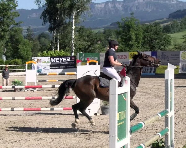 Reitturnier Ruswil 2022