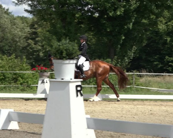 Reitturnier Hille 2022