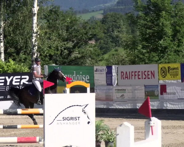 Reitturnier Ruswil 2022