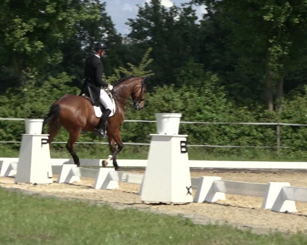 Reitturnier Hille 2022