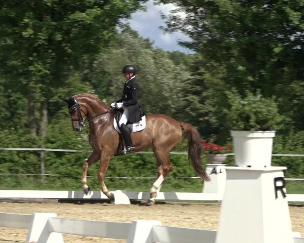 Reitturnier Hille 2022