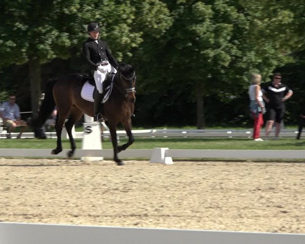Reitturnier Hille 2022