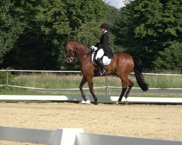 Reitturnier Hille 2022