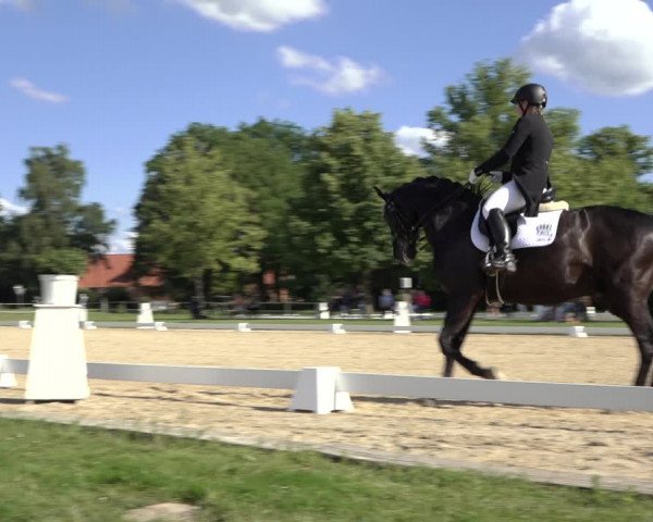 Reitturnier Hille 2022