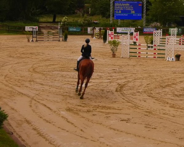 Reitturnier Schönfeld 2022