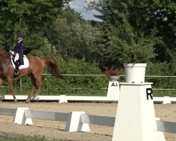 Reitturnier Hille 2022