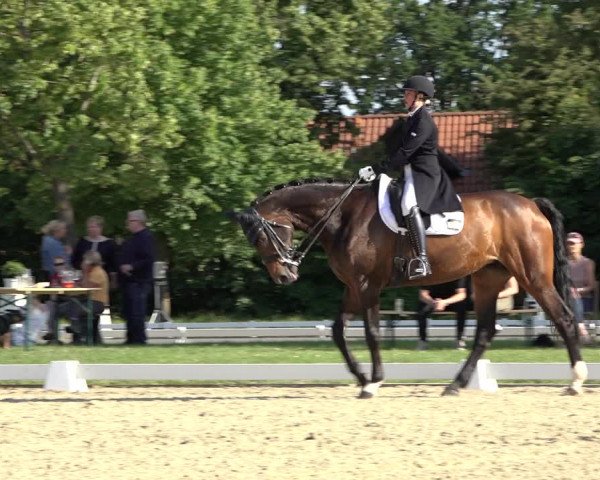 Reitturnier Hille 2022
