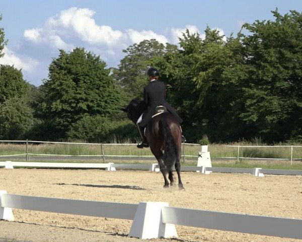 Reitturnier Hille 2022