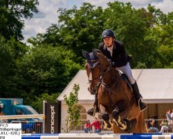 jumper Jarco van Equinta (Belgian Warmblood, 2009, from Darco)