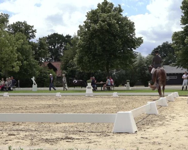 Reitturnier Hille 2022
