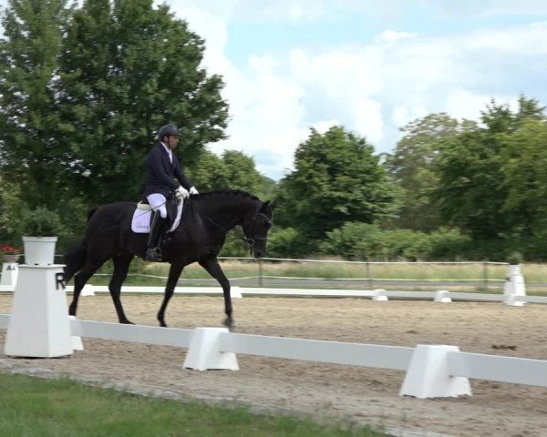 Reitturnier Hille 2022