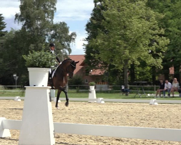 Reitturnier Hille 2022