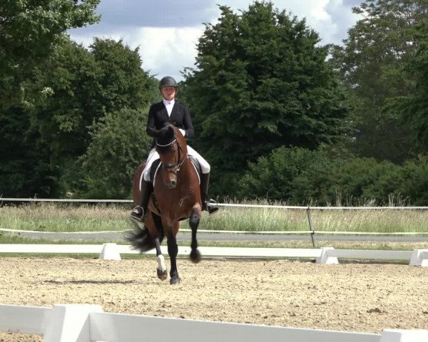 Reitturnier Hille 2022