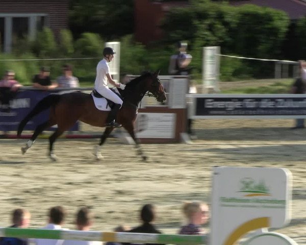 Reitturnier Ascheberg 2022