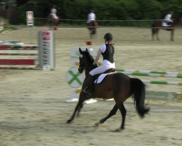 Reitturnier Ascheberg 2022