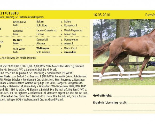 stallion Hengst von Bonifatius (Hanoverian, 2010, from Bonifatius)