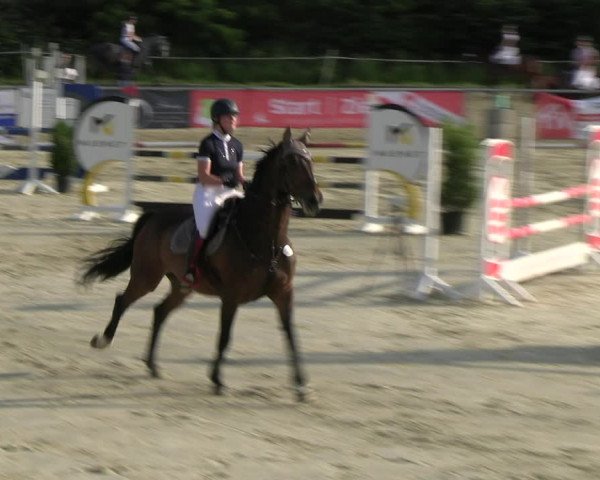Reitturnier Ascheberg 2022