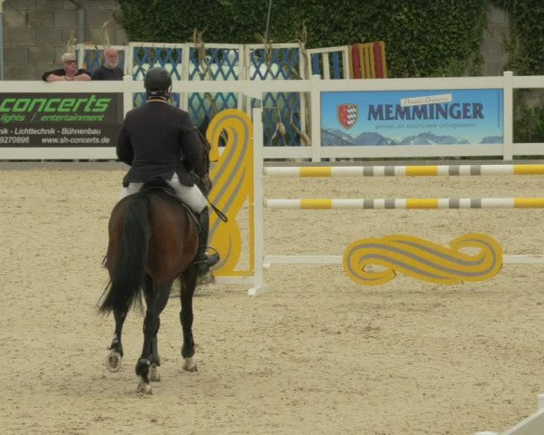 Springturnier Memmingen 2021