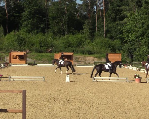Reitturnier Letmathe 2022