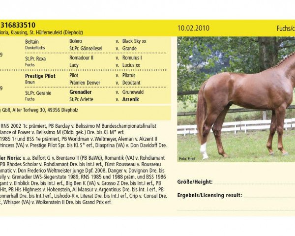 stallion Big Apple 2 (Hanoverian, 2010, from Belissimo NRW)