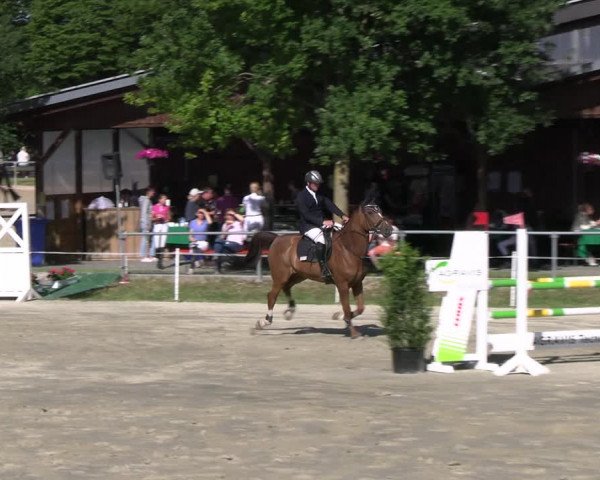 Reitturnier Ascheberg 2022