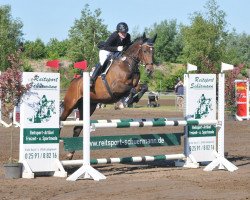 broodmare Saphira 119 (Hanoverian, 2006, from Stolzenberg)