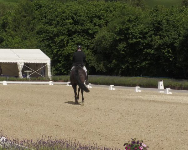 Reitturnier Lindlar - Reitanlage Dückers 2022