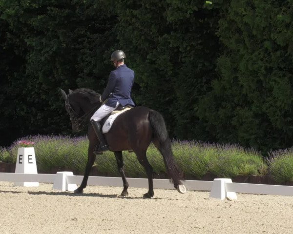 Reitturnier Lindlar - Reitanlage Dückers 2022