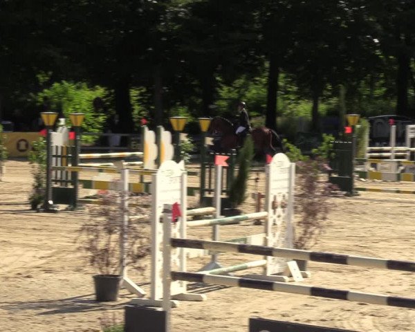 Reitturnier Letmathe 2022