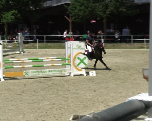 Reitturnier Ascheberg 2022