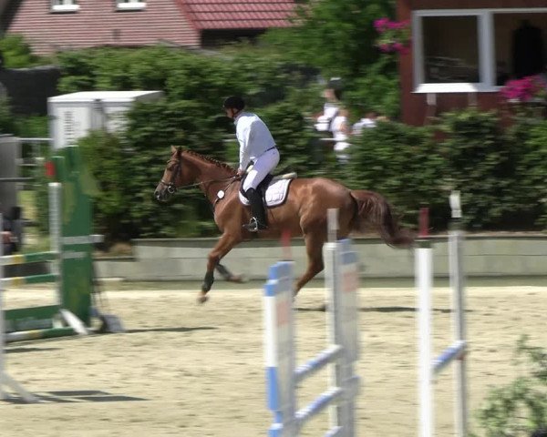 Reitturnier Ascheberg 2022