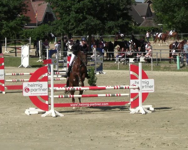 Reitturnier Ascheberg 2022