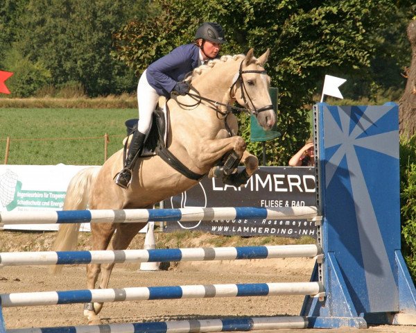 jumper Milano Classico (German Riding Pony, 2008, from The Braes My Mobility)