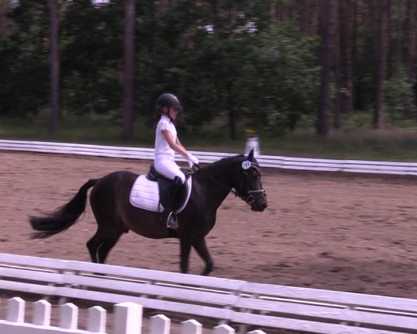 Reitturnier Wörmlitz 2022