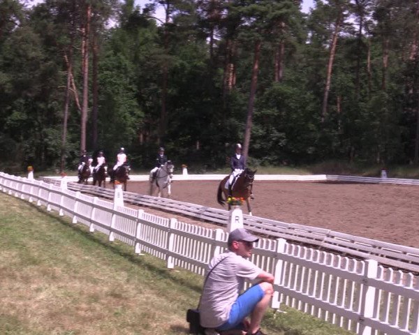 Reitturnier Wörmlitz 2022