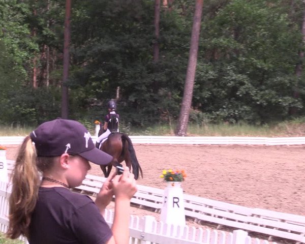 Reitturnier Wörmlitz 2022