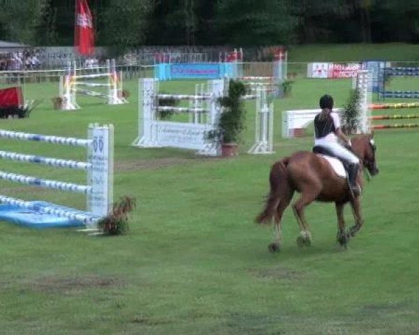 broodmare Mary King (German Riding Pony, 2006, from Krazy King)