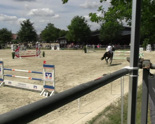 Reitturnier Ascheberg 2022