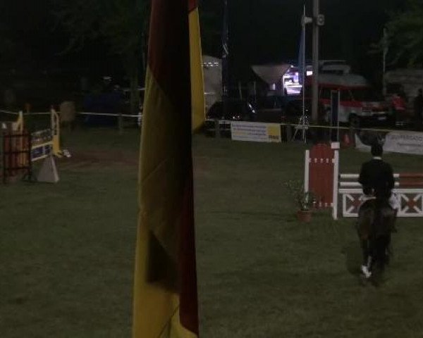 jumper Sasou 7 (Westphalian, 2007, from Stalypso)