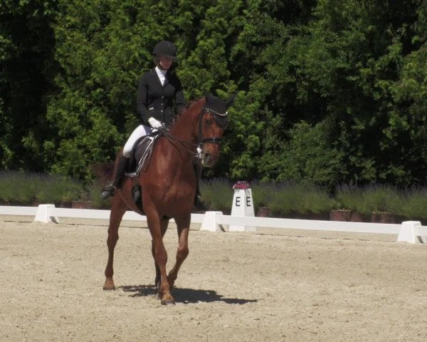 Reitturnier Lindlar - Reitanlage Dückers 2022