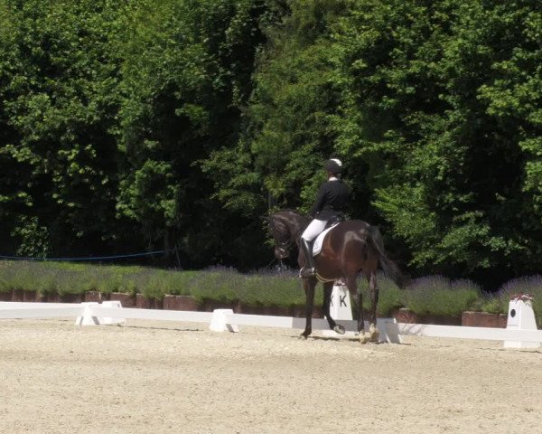 Reitturnier Lindlar - Reitanlage Dückers 2022