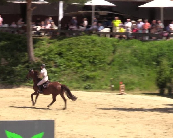 Reitturnier Letmathe 2022