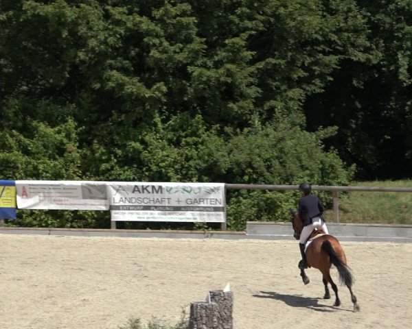 Reitturnier Erkrath - Uhlenhof 2022